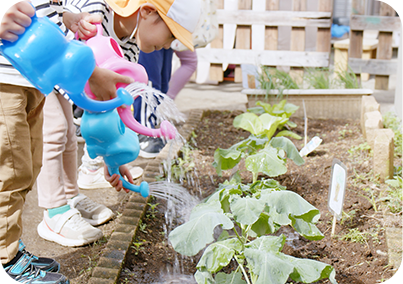 くりの実保育園