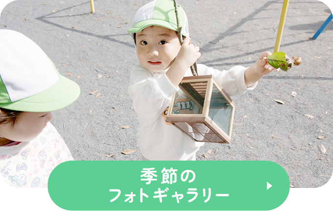 季節のフォトギャラリー